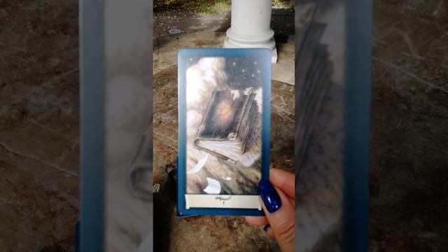Таро прогноз в беседке Цецеры ,на таро :"Некрономикон". смотреть онлайн