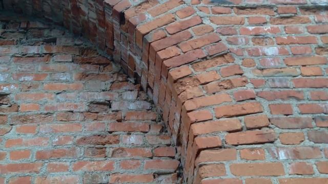 2022.10.23. Смоленск. Лопатинский сад. Воробьи живут на крепостной стене. Часть 1. смотреть онлайн