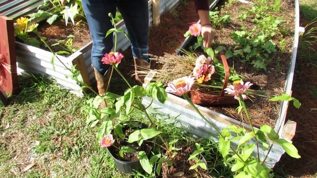 HOW TO CREATE FORAGED ARRANGEMENTS | DIY смотреть онлайн
