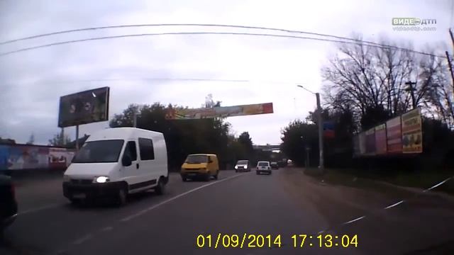 Броодячая псина бросилась на машину