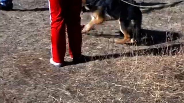 Мальва из дома алисы смотреть онлайн