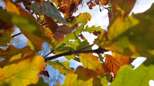 Будьте реалистами: планируйте чудо. Ошо