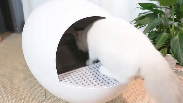 Automatic toilet for cats Pet Manager2 смотреть онлайн