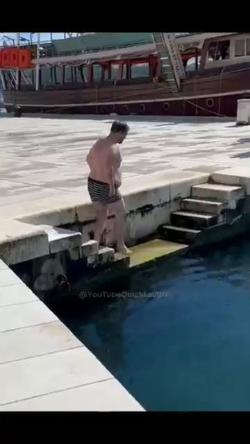 funny funny 😂😂 #funny #fun #momentscaughtoncamera #laugh #animals смотреть онлайн