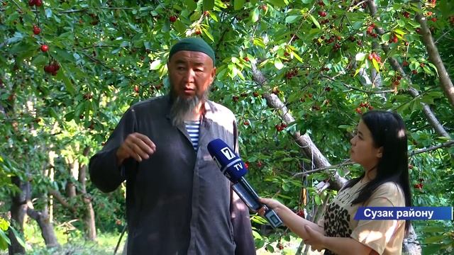 "1 ТОННАГА ЧЕЙИН КОКОН ГИЛАС АЛАМ" смотреть онлайн