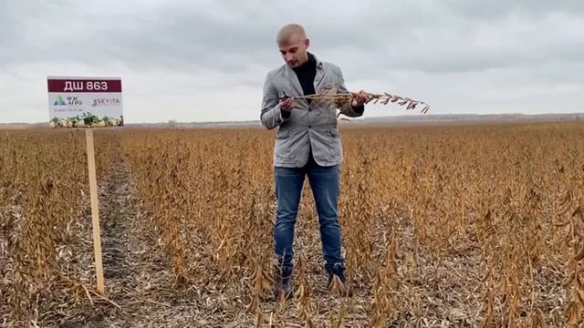 Осмотр сои перед уборкой. Ульяновская область смотреть онлайн