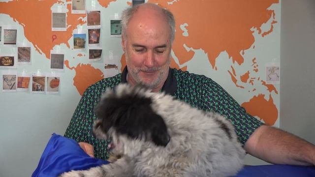 Polar Pooch Review- Cooling Mat for Pets | EpicReviewGuys CC смотреть онлайн
