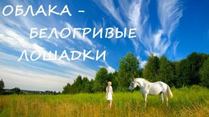 Облака - белогривые лошадки.