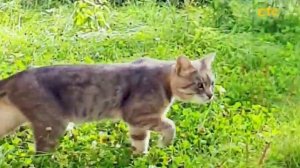 Фильм "Одиночество" 2 серия