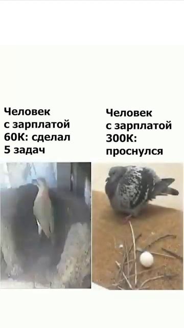 Знакомо?