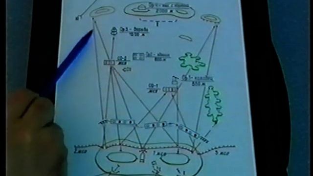 5-фильм. Тактикалық дайындық смотреть онлайн
