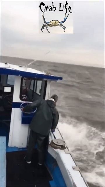 Crab Life смотреть онлайн