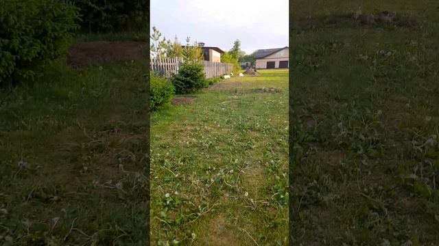 день в деревне |полив саженцев| смотреть онлайн