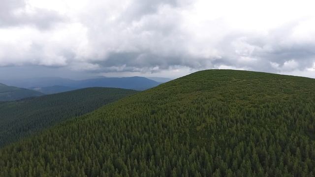 УНІКАЛЬНІ ЗЙОМКИ ЗАХІДНИХ ГОРГАН (АРШИЦЯ, РОСОХАН, ПЛІСЦЕ) МИСЛІВКА - ОСМОЛОДА КАРПАТИ КАРПАТЫ | FH смотреть онлайн