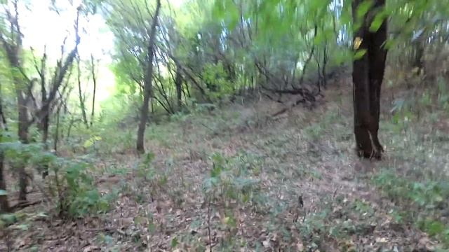 Осенний одиночный мини поход смотреть онлайн