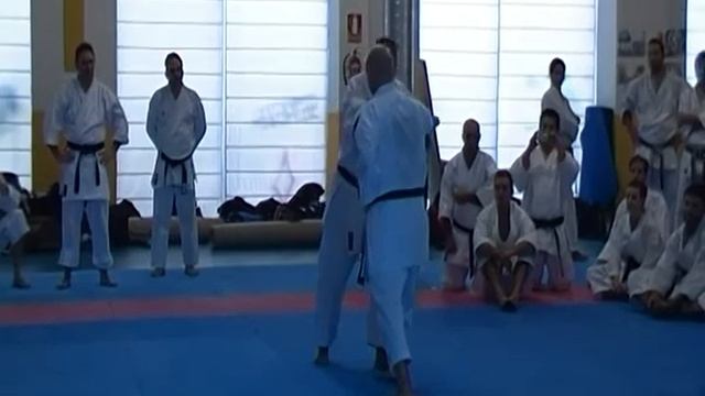 2 Мигель Гомес Накарино (каратэ). Бункай, кумитэ и ката ''Энпи'' (ч 2)