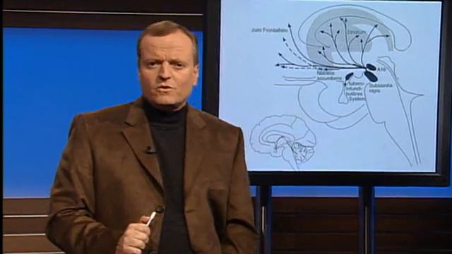 Manfred Spitzer Geist und Gehirn 007 Sucht und Bewertung смотреть онлайн