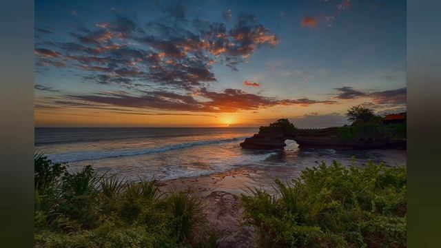 Мишари Рашид Аль-Калам (Тростниковое перо)