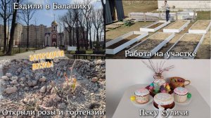 #113 ВЛОГ. Ездили в Балашиху/Работа на участке/Открыли розы и гортензии/Пеку куличи/ЗАГОРОДНАЯ ЖИЗНЬ