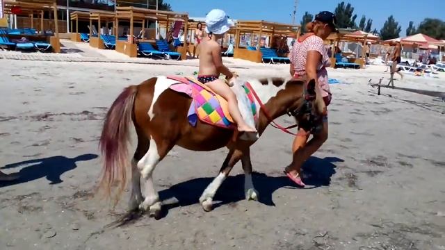 VID 20180806 112057 смотреть онлайн
