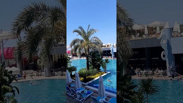 Dreamworld Palace, Blick von Room 7105 🤩 смотреть онлайн