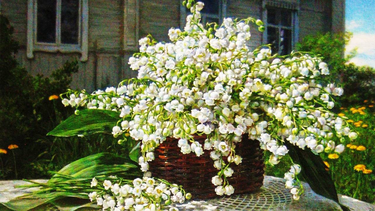 Пейзажи и натюрморты художника Екатерины Штуц смотреть онлайн