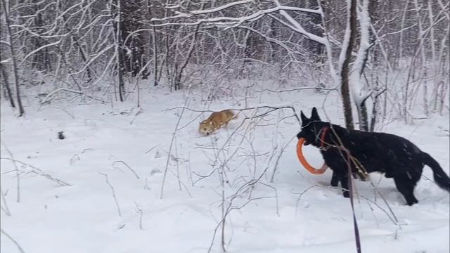 Когда на Пасху неожиданно подвезли снег смотреть онлайн