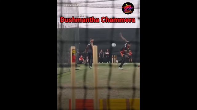 RCB Fast Bowlers Practice Session | SMART CRICKET LK смотреть онлайн
