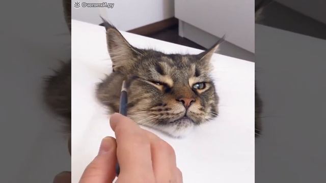 Рисуем объёмную кошачью морду смотреть онлайн