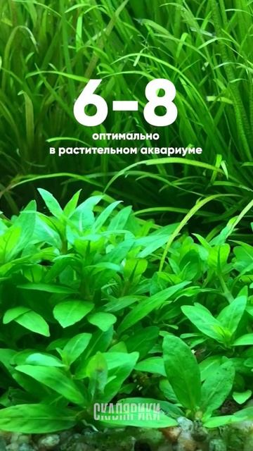 GH - общая жесткость в аквариуме смотреть онлайн