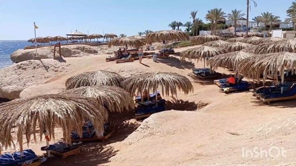 Amphoras beach resort Шарм-эль-Шейх 2024. Отдых в Египте