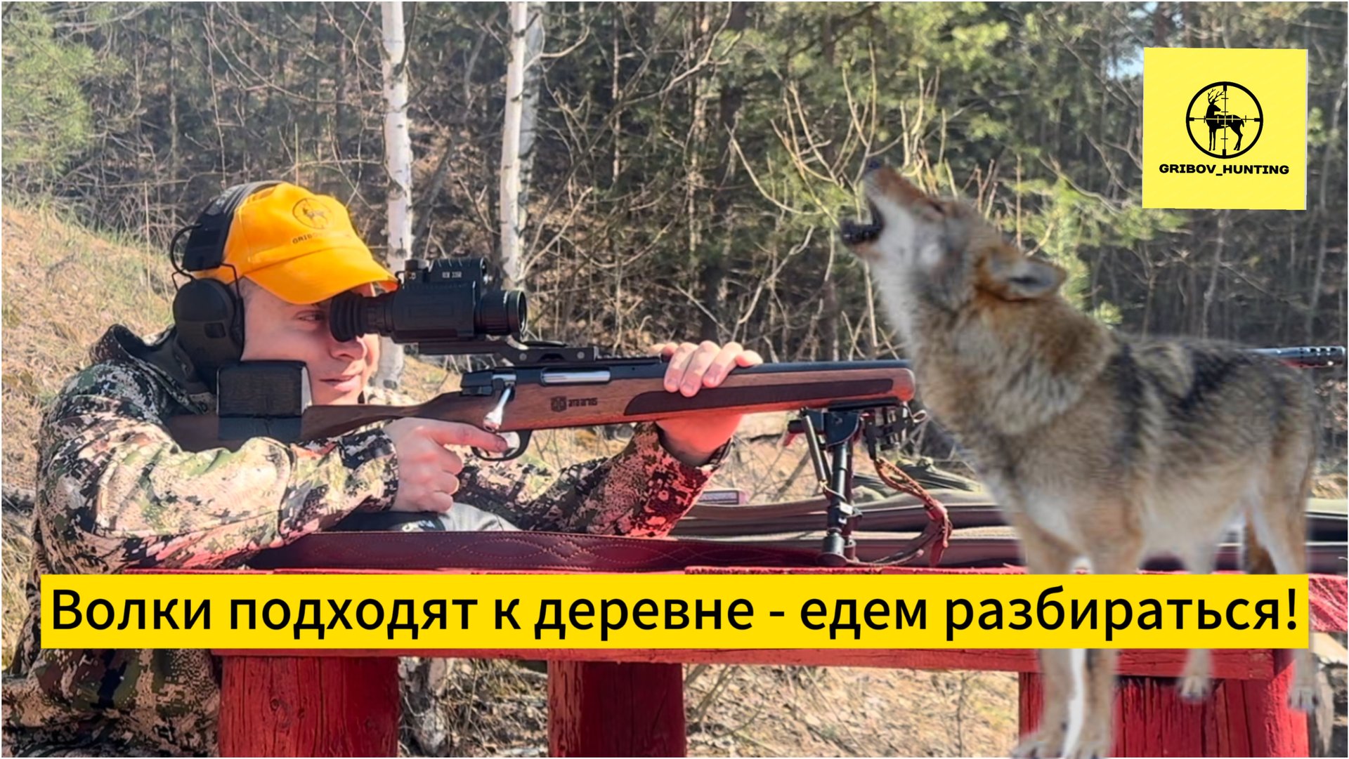 Волки подходят к деревне - едем разбираться!
