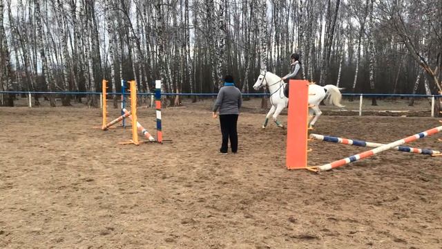 Тренировка по конкуру Тани на жеребце Прапоре (19.04.2016) смотреть онлайн