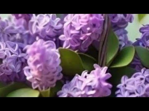 мы родились в сибири//где Виталик?//обзор канала смотреть онлайн