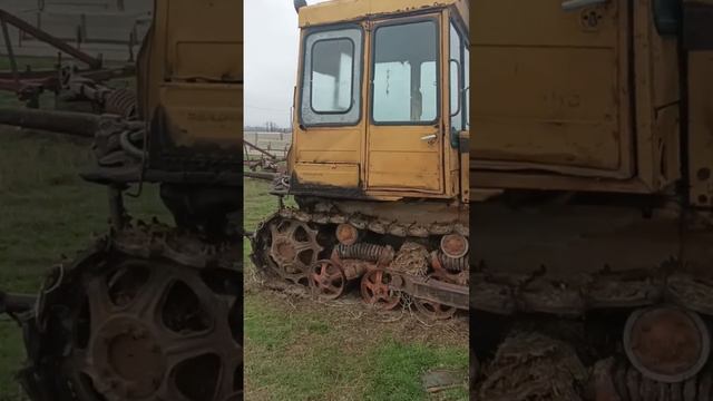 Трактор ДТ 75 Казахстан экспресс-обзор от Константина Велигодского смотреть онлайн