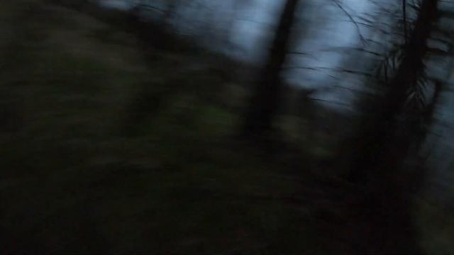 Весенняя охота на вальдшнепа 130424 смотреть онлайн