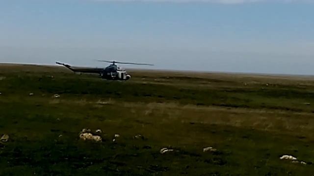 VID 20160423 163554 смотреть онлайн