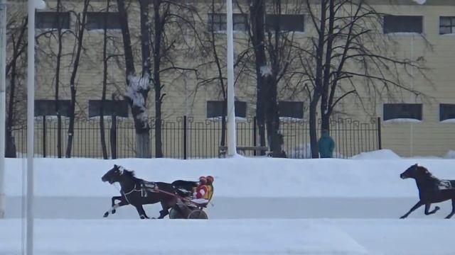 ЦМИ Испытания лошадей рысистых пород от 24 01 16 смотреть онлайн