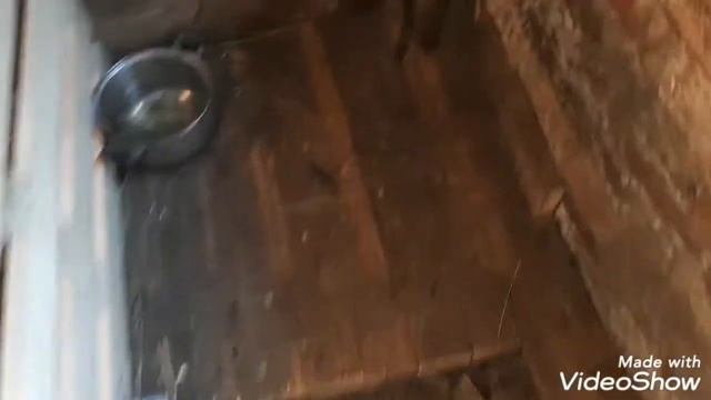 Продвижение в сарае, заготовка веток на зиму!