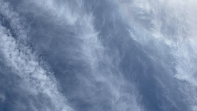 Голубята ростут! Чем кормлю? Первые Тренировки 2024 смотреть онлайн