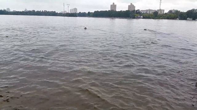 Круизёр и Куин смотреть онлайн