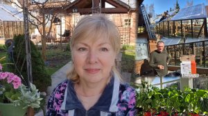 Дачные заботы Ремонт старой теплицы.Капельный ПОЛИВ.Что стало с РАССАДОЙ