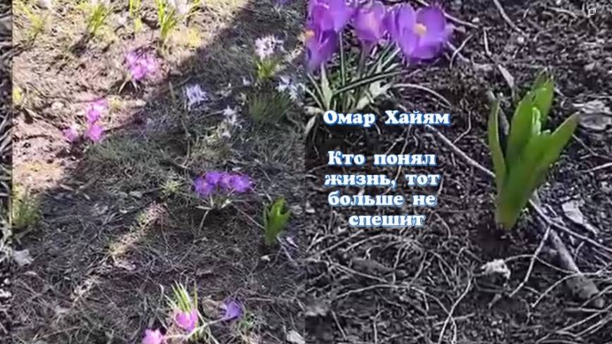 Кто понял жизнь, тот больше не спешит. смотреть онлайн