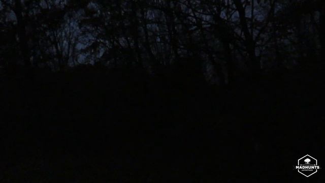 2020 Deer Season EP. 7 Ohio Public Land смотреть онлайн