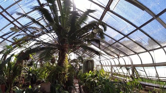 Clint Chamness introduces the Plant Biology Greenhouses смотреть онлайн