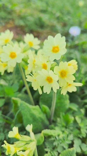 Вести из сада 21.04.2025г. смотреть онлайн