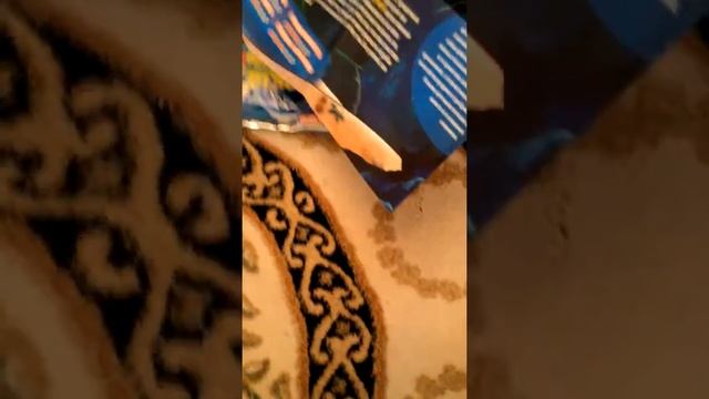 Мои морские монстры и ко смотреть онлайн