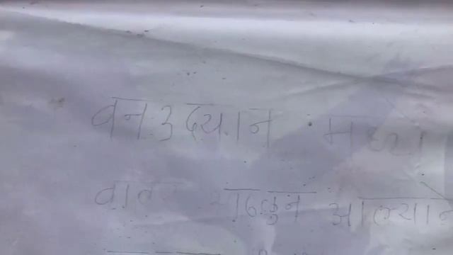 Jalna: जालना शहरात खरंच आढळला बिबट्या? CCTV मध्ये काय दिसलं? वनविभागाचं आवाहन | #local18 смотреть онлайн