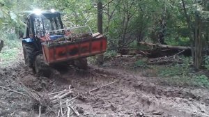 Мтз 82.1 в лесу