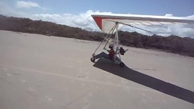 palhynha com icaros 2000.